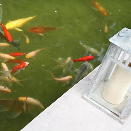 Au Calme - Duplex 3 Namur- 5 Pers 公寓 *