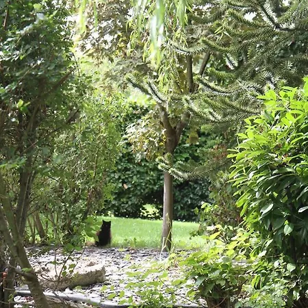 Au Calme - Duplex 3 Namur- 5 Pers 公寓 Floreffe