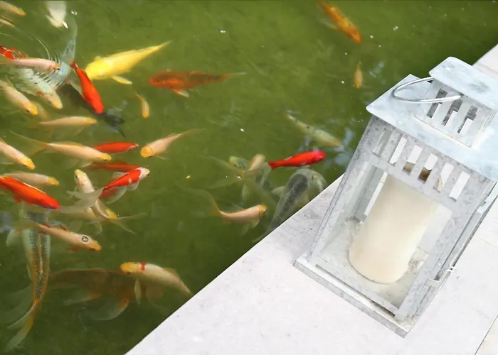 Au Calme - Duplex 3 Namur- 5 Pers Lejlighed *